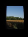 silo, looking out