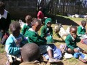 kids eating lunch