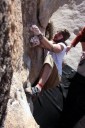 Luke, Joshua Tree; photo by Adele Gant