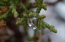 Snow melt drop