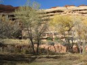 Cottonwood stands in Lost Canyon