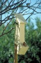 Kai Staats - Bird Feeder