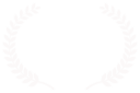 Best Director - Escape Velocity Film Festival - 2017