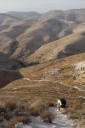 Kai Staats - hiking out of the Wadi Qelt