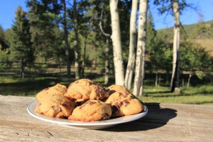 Kai Staats - Buffalo Chip Cookies