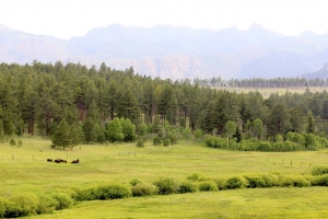 Kai Staats: Buffalo Peak Ranch