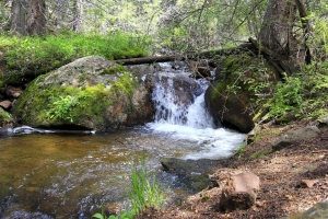 Kai Staats: Wigwam Wilderness, falls