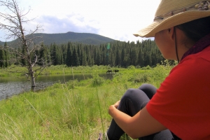 Kai Staats: Wigwam Wilderness, moose