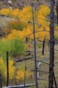 Kai Staats: Buffal Peak Ranch, Sep 2016