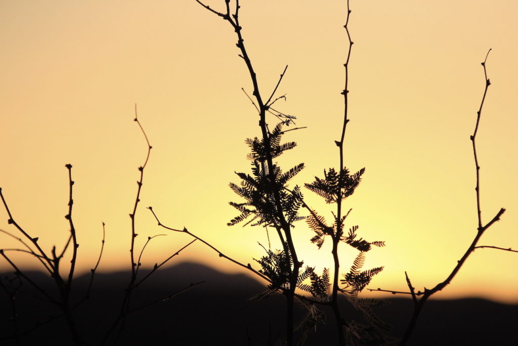 Sunset over the San Pedro river valley - by Kai Staats