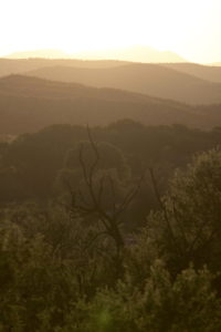 Sunset over the San Pedro river valley - by Kai Staats