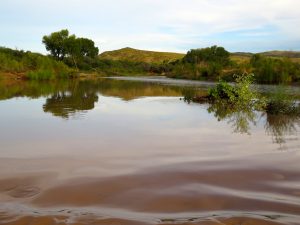 The mighty, muddy San Pedro at Cascabel, by Kai Staats