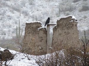 Snow in the San Pedro, by Kai Staats