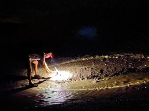 Flash flood in Cascabel, September 27, 2025. Photo by Colleen Cooley.