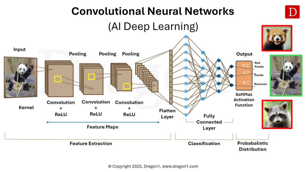 Convolutional Neural Networks diagram by Dragon 1