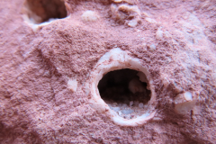 IMG_1093-hueco