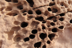 IMG_1100-sandstone