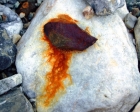 Kai Staats - Alaska, 2005: Bleeding Rock
