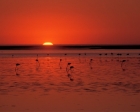 Kai Staats - Namibia Sunset