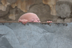 IMG_4807-tiana_peeking