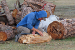 IMG_5274-kai_sharpening_axe