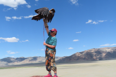 IMG_5970-eagle_atina