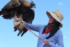 IMG_5973-eagle_colleen